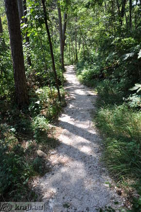 Schlucht Bela