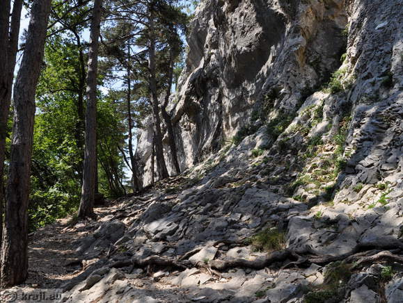 Schlucht Bela