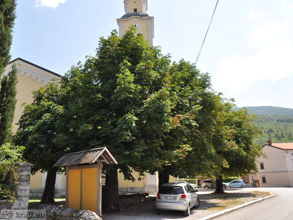 Kostanji pred cerkvijo