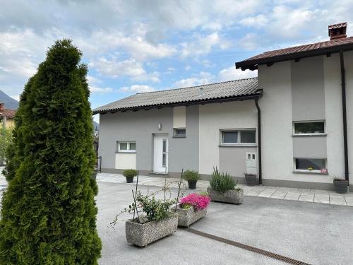 Apartma ALTA Apartma ALTA