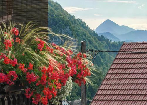 Apartma Bela Apartma Bela