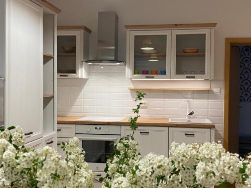 Apartma ROGATEC