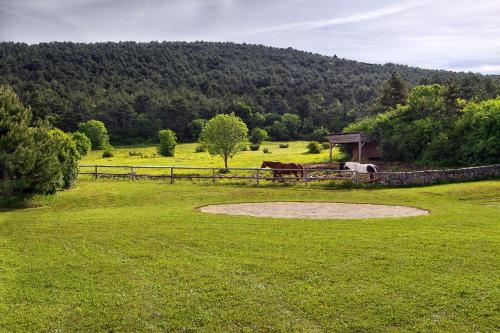 Villa Noiram - Your dream Getaway in Nature Villa Noiram - Your dream Getaway in Nature