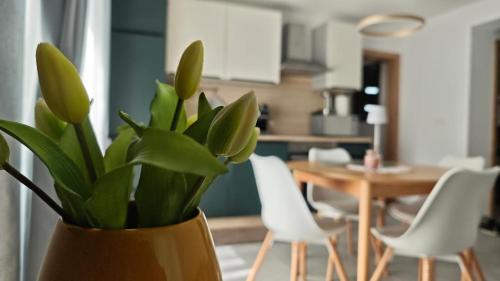 Apartma Mia Nadiža