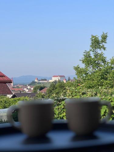Rezidenca Vista Lux