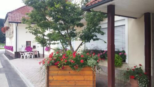 Darja Guesthouse Darja Guesthouse