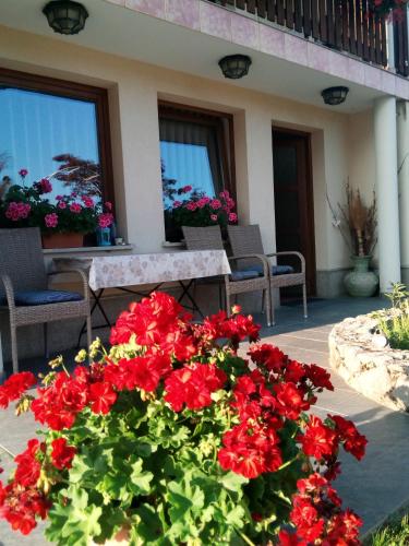 Dolenjska vila Dolenjska vila