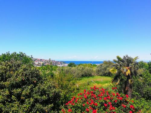 Peaceful View Apartment Peaceful View Apartment