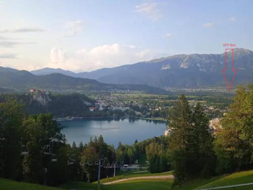 Apartment Mojca near Bled