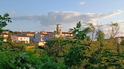 Apartmaji Hrvatin v Kortah Apartmaji Hrvatin v Kortah