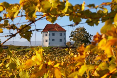 Wine Grower's Mansion Zlati Gric Wine Grower's Mansion Zlati Gric