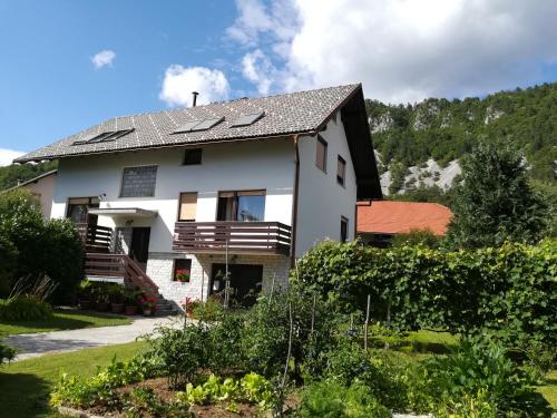 Apartment Ajdna