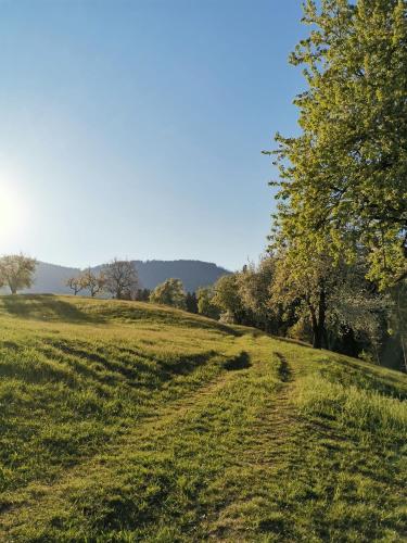 Apartma Lesjak - pobeg v naravo Apartma Lesjak - pobeg v naravo