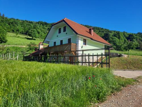Vineyard cottage Klobčar
