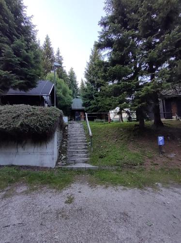 Brunarica 6A - Pohorje - Trije Kralji - Hiking & Mountain biking