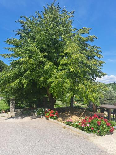 Apartma Solina Apartma Solina