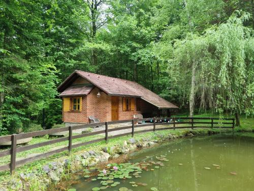 Cottage by the pond Pavel Cottage by the pond Pavel