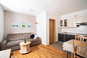 Apartments MEDVED in the historic center 