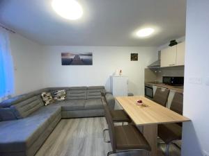 APARTMA DŽANA 
