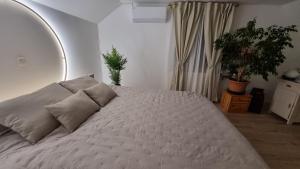 Apartma Katarina 
