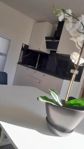 Apartma Ana