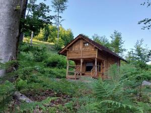 Cowboy House at Ranch Lambergar 