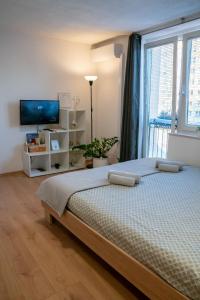 Small but cozy apartment