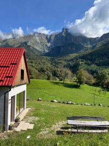 Holiday home Dreams 