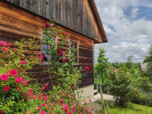 Old Taylor's house 