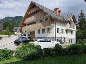 Mountain view in Bohinj