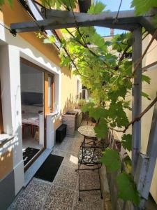 Apartma Sončnica 