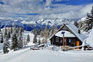 Chalet Zlatica Velika Planina 