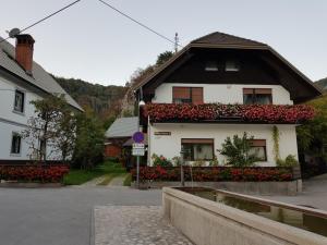 Apartments Gregorc 