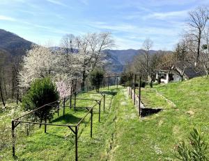 Vilijev Raj, a property with cottage in the countryside 
