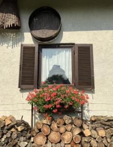 Vilijev Raj, a property with cottage in the countryside 