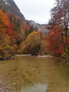 Riverside Guesthouse 