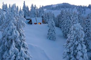 Chalet Alpinka 