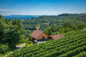 Vineyard Cottage Ucman - Happy Rentals 