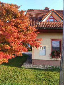 Apartma Ob Krki 
