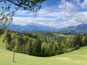 A View to a Hill 