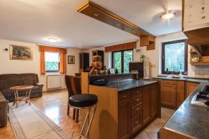 Apartment Satya 