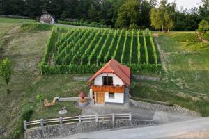 Vineyard Cottage Krivic 