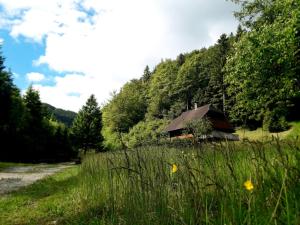 Apartmaji Brložnica pod Veliko planino 