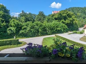 Apartments Domačija Mlaker 