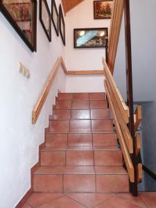 Apartma ČVRSTA TROJKA 