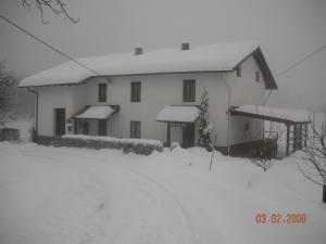 Apartment Bric 