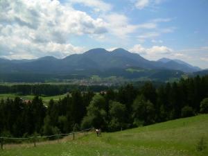 Appartement Rozika 