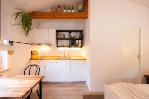 Studio Apartment Jož' 