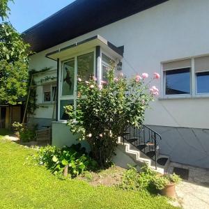The Cottage 