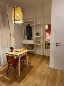 Magnolia Studio 